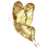 SOUL DESIGN - Verstehe dein energetisches Design und lebe dein Potenzial - Olga Rau