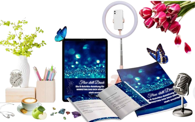 Energetisches Marketing - Flow statt Druck - Soul Marketing Starter Kit -